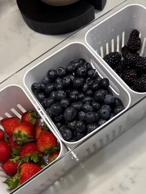 Brightroom Lidded Fridge Storage w/2 Internal Inserts